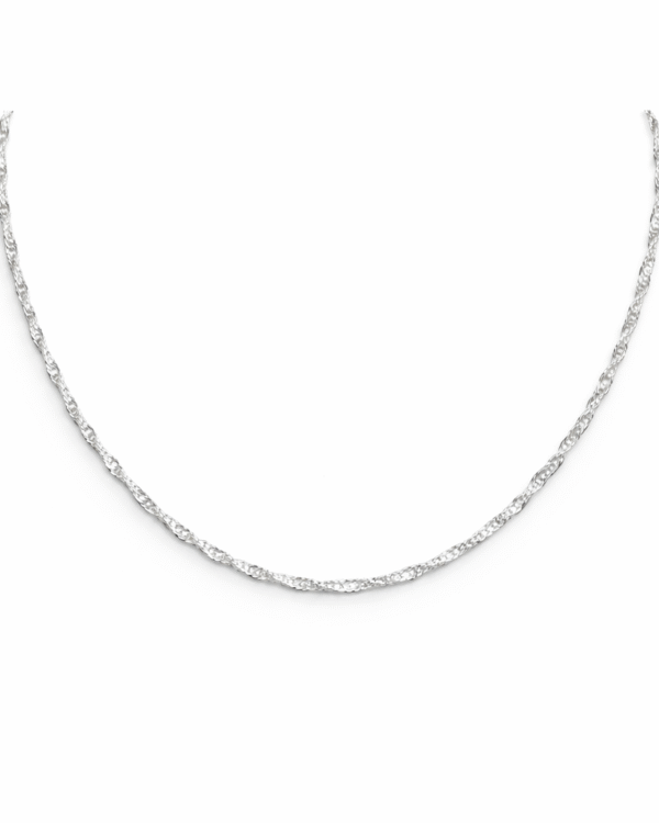 Cadena Singapur 40cm #420 y 50cm #196