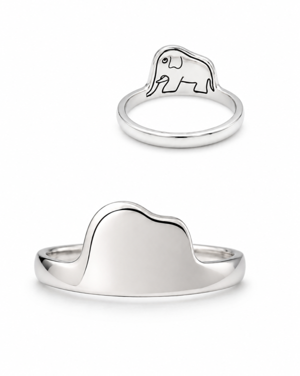 Anillo Principito